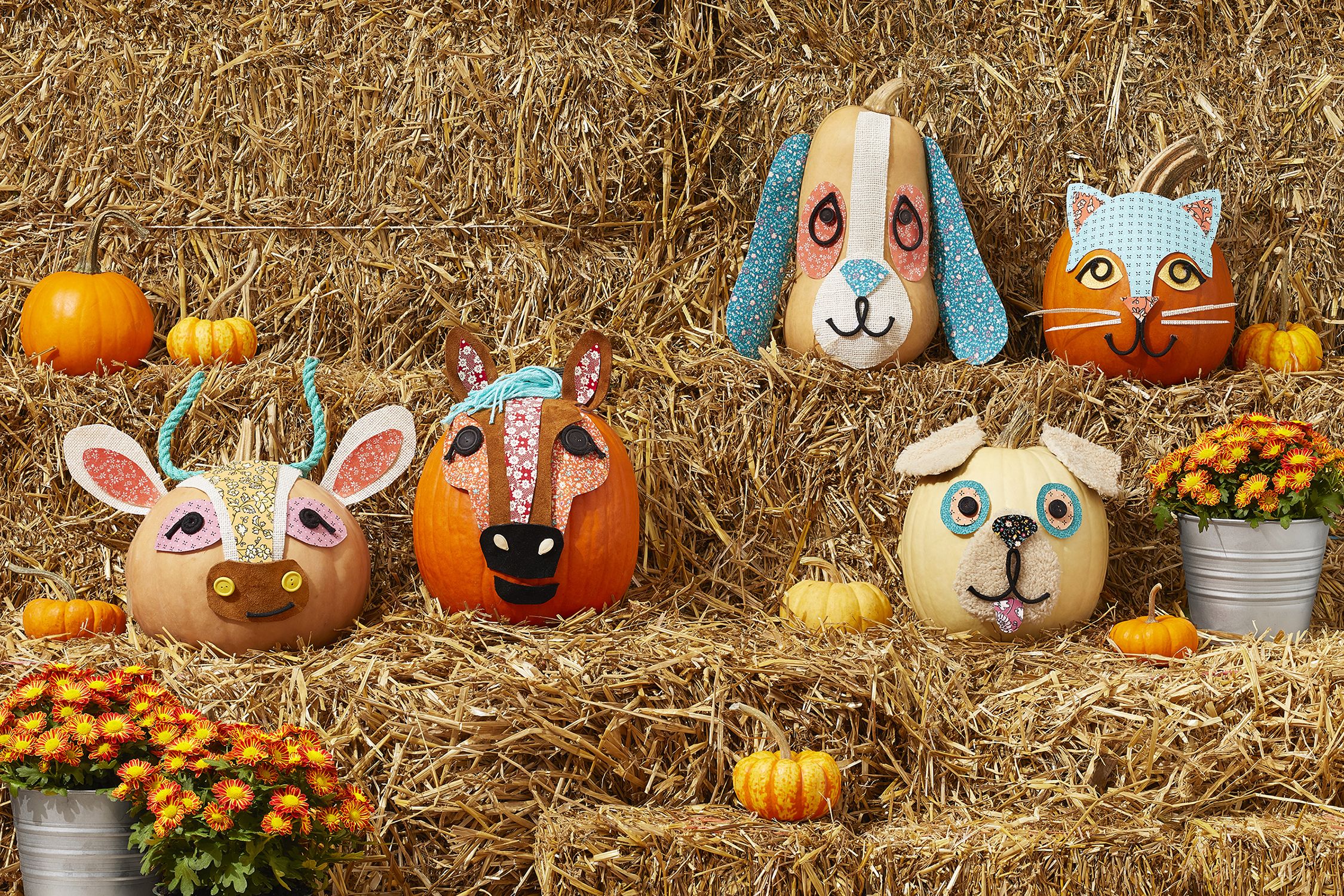 Pumpkins - Decorations - Fall & Thanksgiving | Hobby Lobby