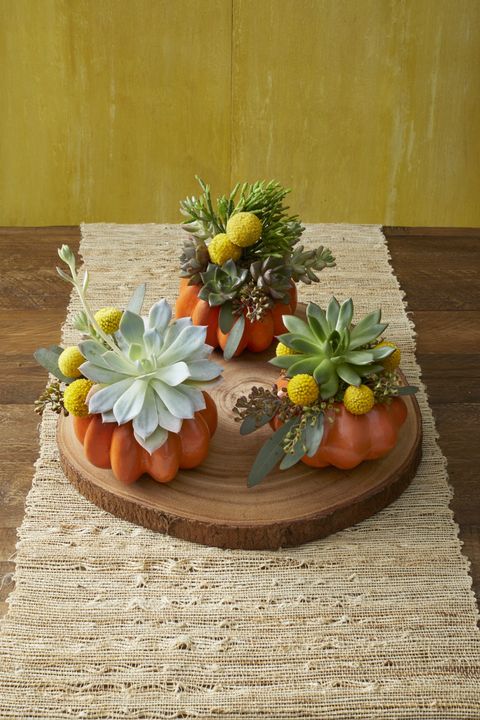 pumpkin decorating ideas succulents