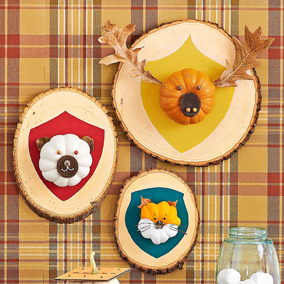 bear, moose, and fox animal wall mounts made from mini pumpkins on wood slabs
