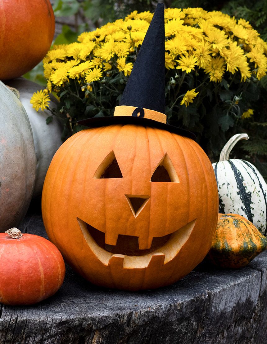 Creative Pumpkin Carving Ideas That Look Ghoulishly Good