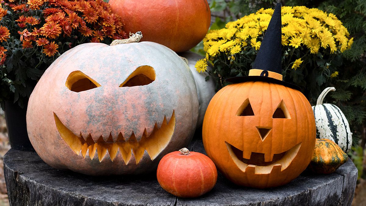 Top-selling Item] Halloween Pumpkin Spooky Embroidered Vintage