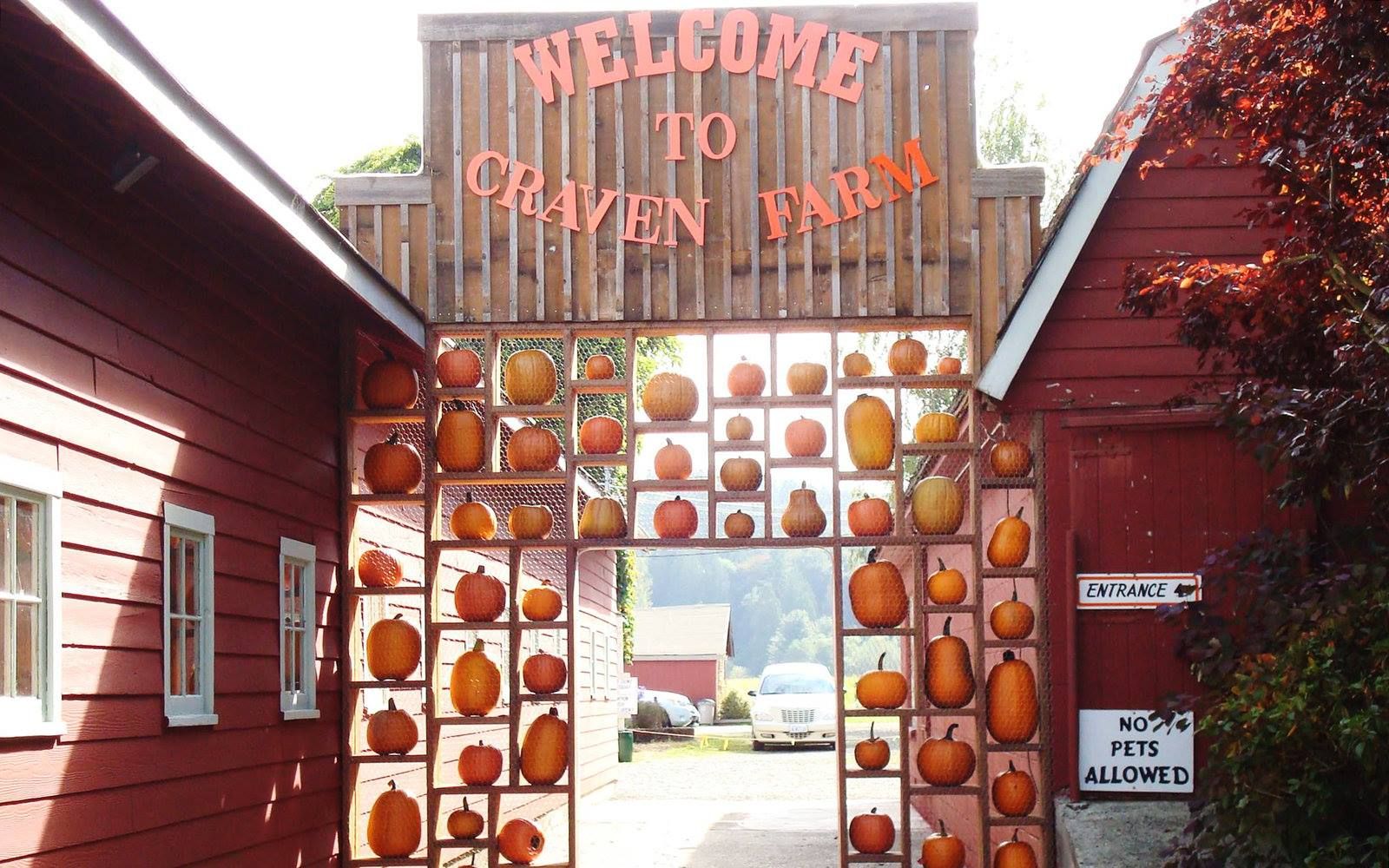 37 Best Pumpkin Farms Near Me 2023 - Pumpkin Picking Near Me