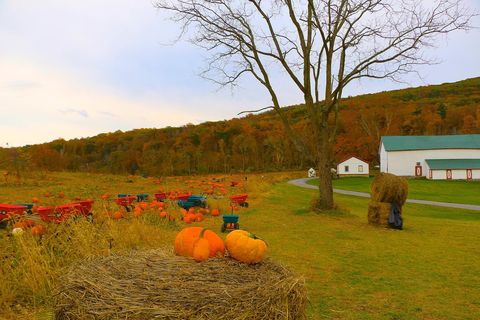 pumpkin farms near me   heaven hill farm vernon, nj
