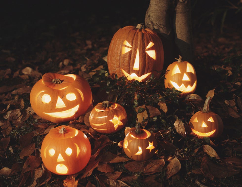 Pumpkin lanterns on ground, night Pumpkin lanterns on ground, night