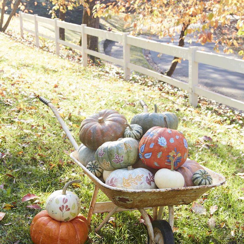 Fall Decorating Ideas for Outside (and a Funny Story