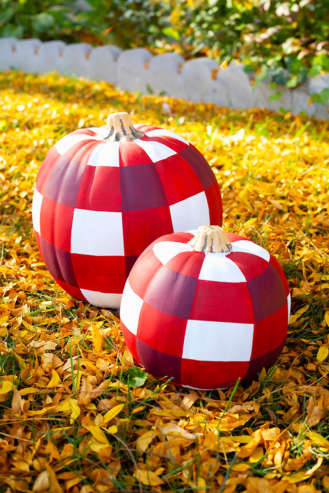 60 Easy Pumpkin Painting Ideas For Fall 2025 Pumpkin Painting Ideas Painted Buffalo Plaid Pumpkin 66747ecde8e7b