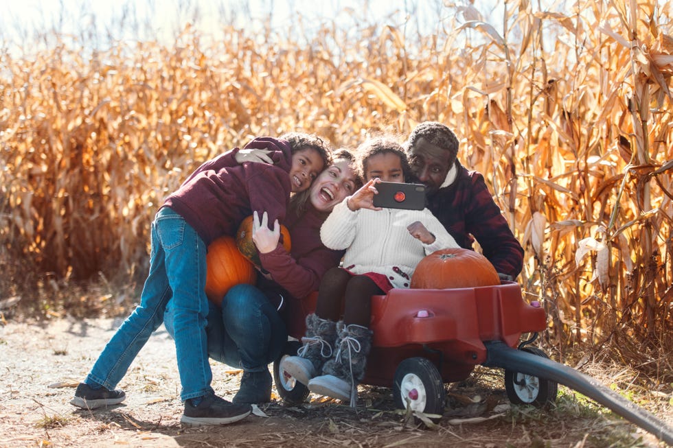 75-pumpkin-patch-captions-for-instagram-2024