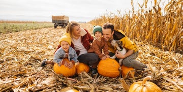 family in a pumpkin patch