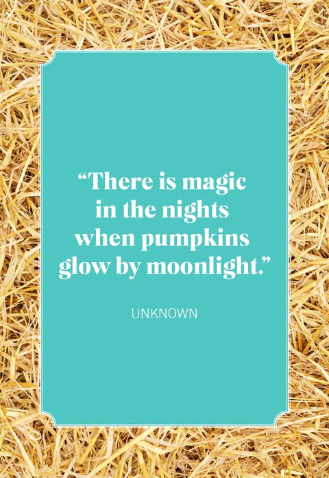 pumpkin quotes