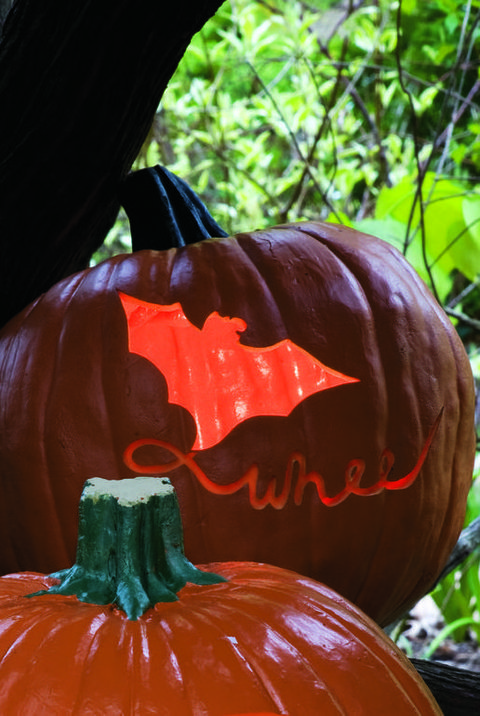 pumpkin carving stencil bat