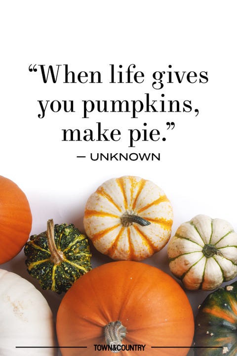 14-pumpkin-patch-quotes-for-fall-best-pumpkin-quotes-to-celebrate-autumn