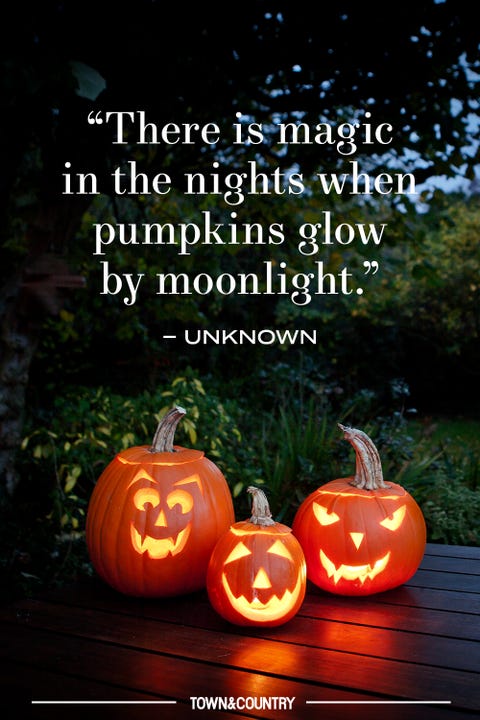 14 Pumpkin Patch Quotes for Fall - Best Pumpkin Quotes to Celebrate Autumn