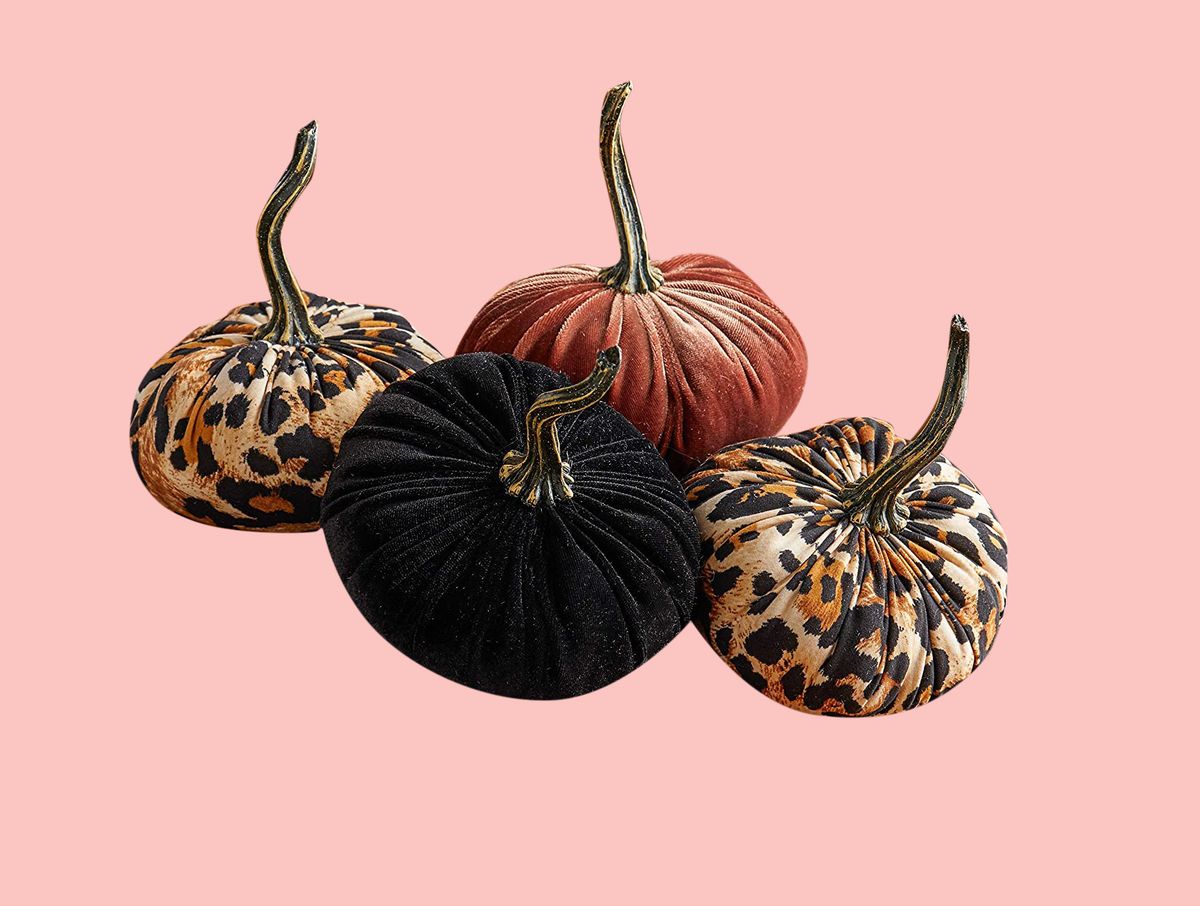 velvet pumpkin sets for fall