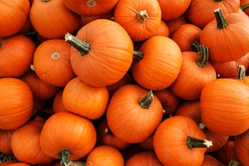 pumpkins