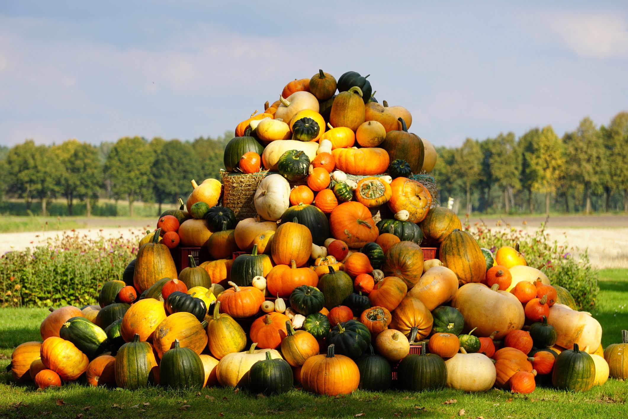 Pumpkins And Squash Pile 1625849564 