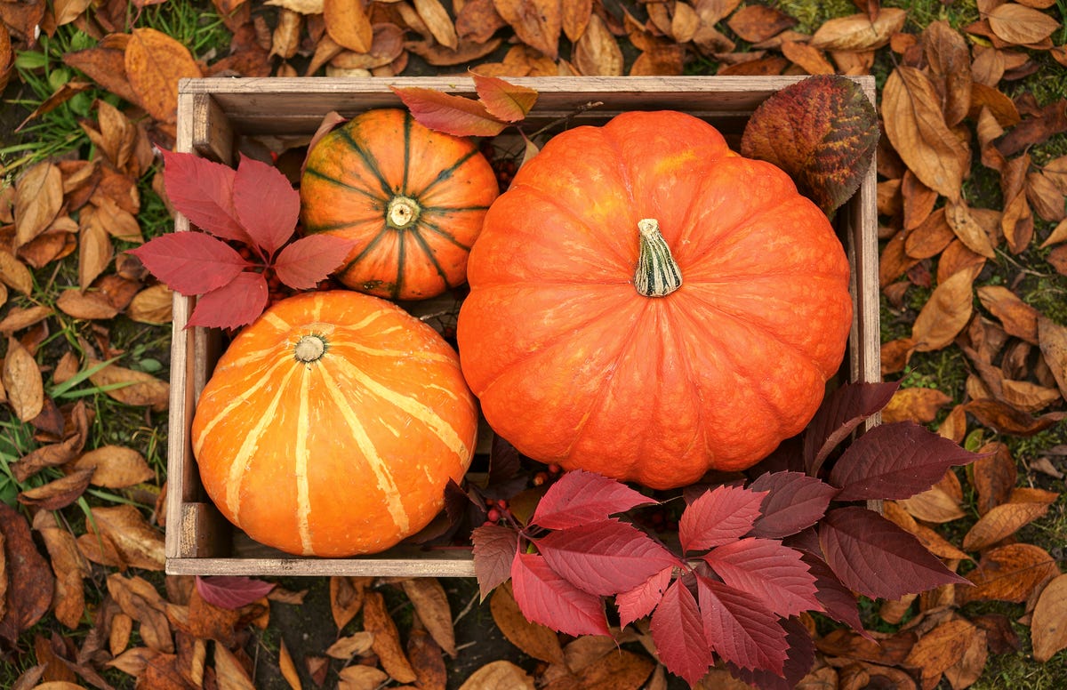70 Clever Fall Puns That Will Leaf Your Friends in Stitches
