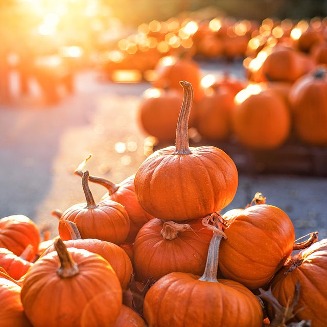 pumpkin nutrition benefits