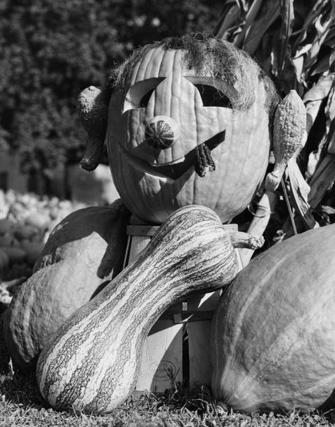 pumpkins vintage halloween decorations