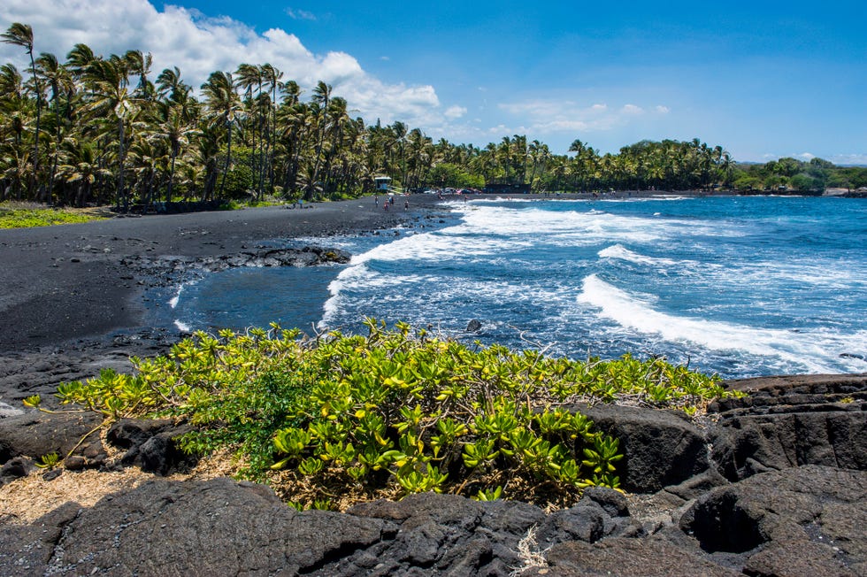 punaluu black sand beach on big island, hawaii, united states of america, pacific