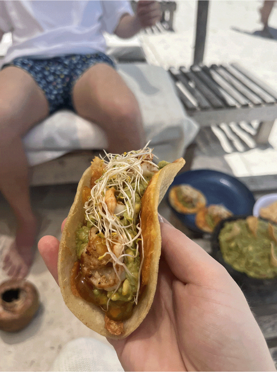 panduan perjalanan holbox