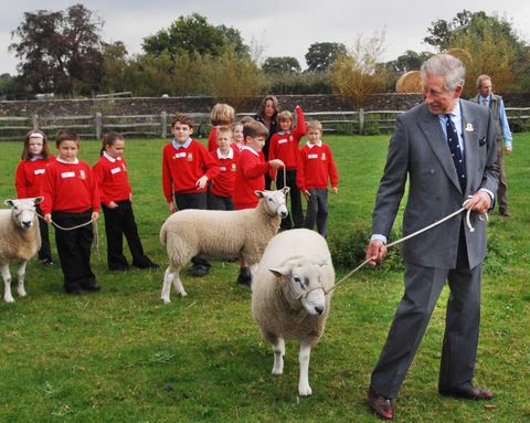 Prince Charles Launches Year of Food & Farming