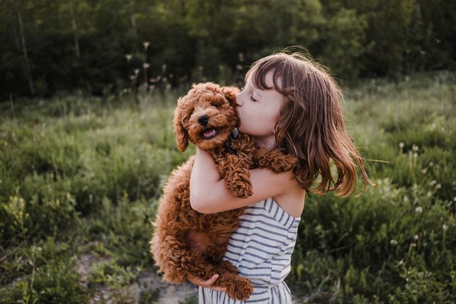 puppy turning away from girl