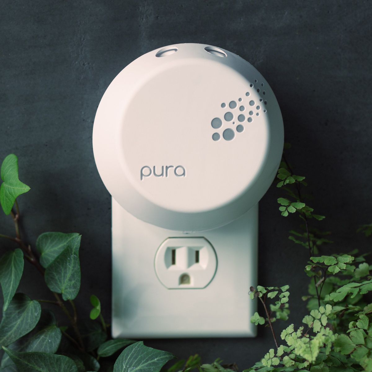 Everything to Know About Pura Scents - Everyday Reading