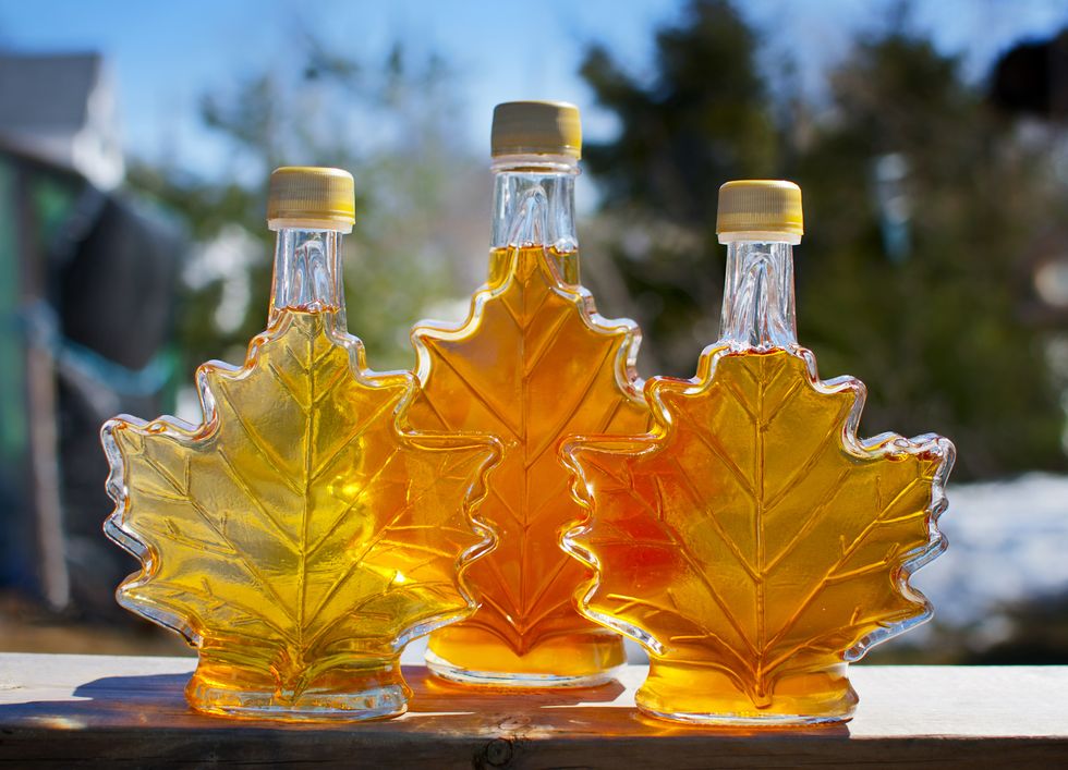pure nova scotia maple syrup