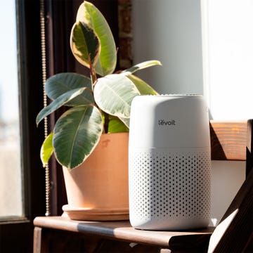 un purificador de aire rebajado para respirar mejor en casa con aromaterapia