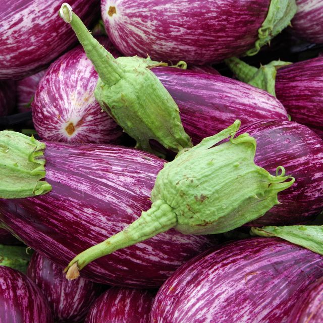 Purple with white streaks Sicilian eggplants