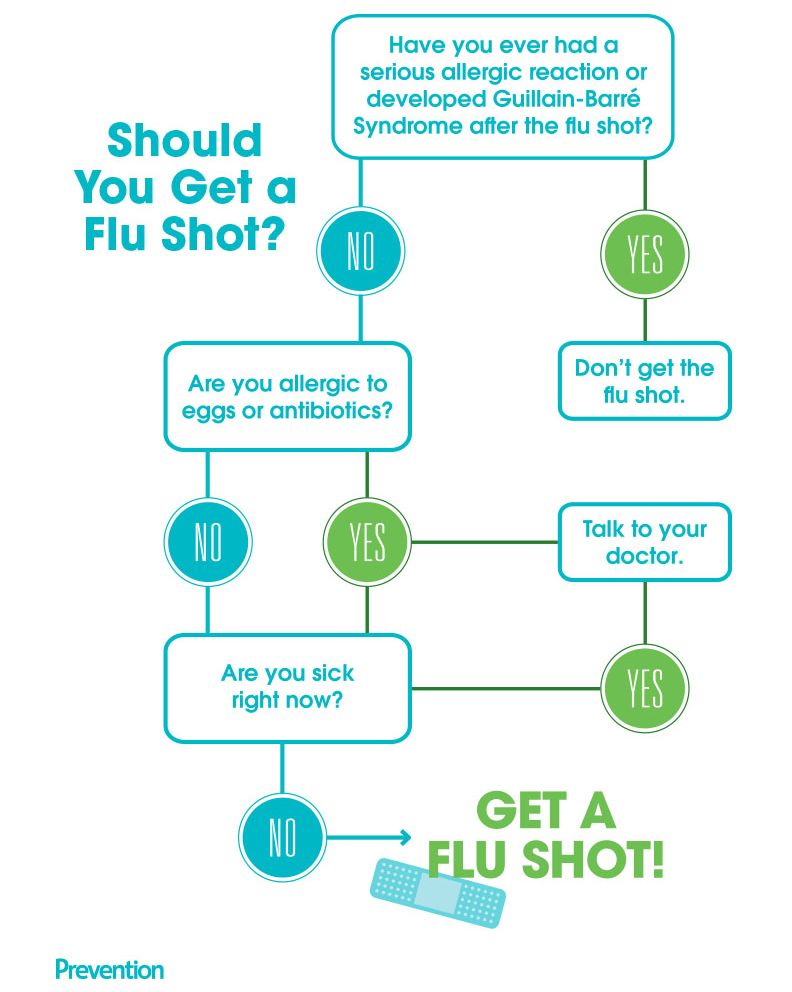 flu shot infographic