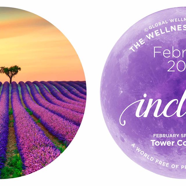 The Wellness Moonshot: February calendar