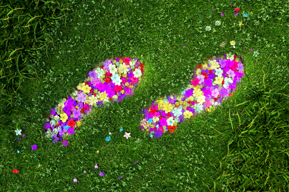 footprints made of bright flowers in green grass