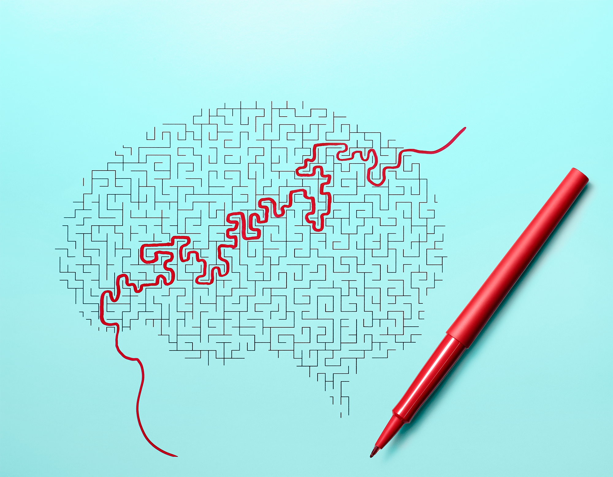 brain in the shape of a maze puzzle with red line going through