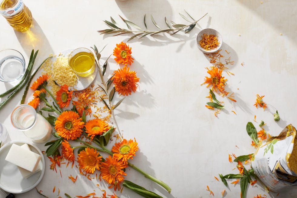 Calendula - Dr. Weil