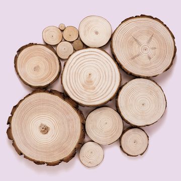 selection of cut logs on a pink background