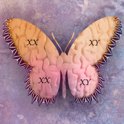 butterfly with brain texture overlay