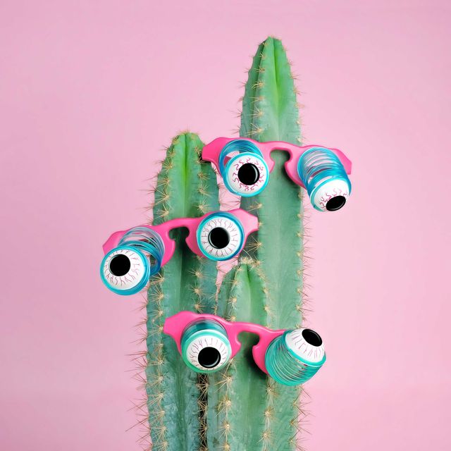 potted cactus wearing goofy eyeball glasses on pink background