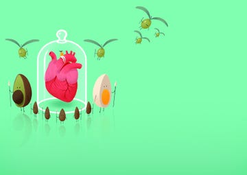 avocado, nuts, eggs and olive oil protecting human heart healthy fats