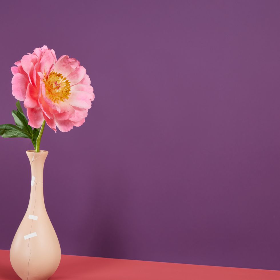 pink flower in ceramic vase being held together with bandages