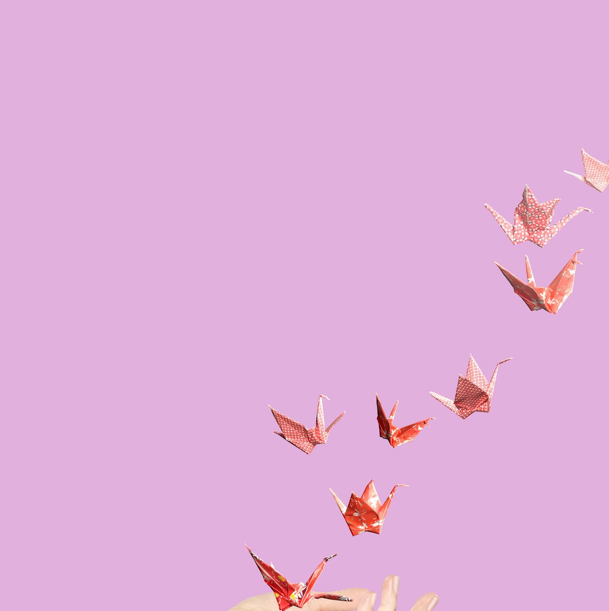 The Effortless Way to Get Your Anxiety Butterflies Flying in Formation