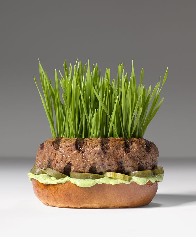 plant based burger with grass