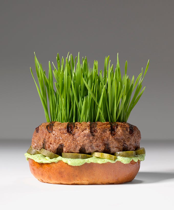 plant based burger with grass growing out the top