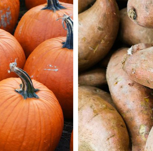 pumpkin vs sweet potato