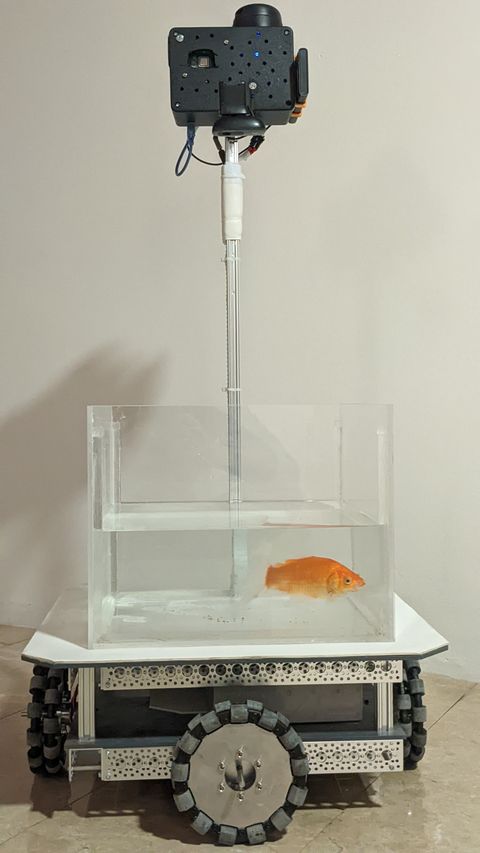 goldfish in wheeled tank