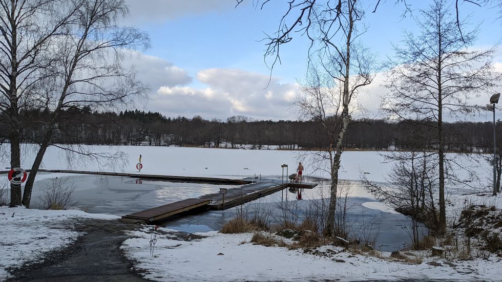frozen lake and swimmers outside stockholm