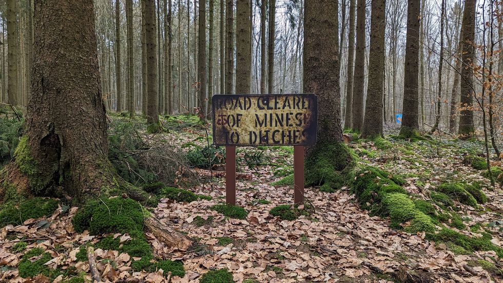 mine warning sign in ardennes forest