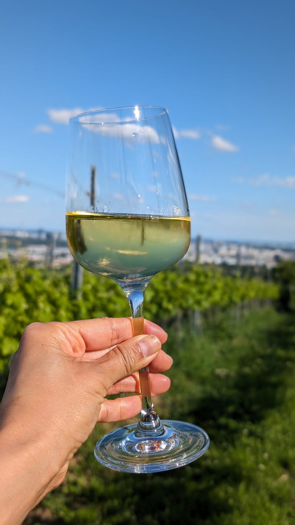 a person holding a glass of wine