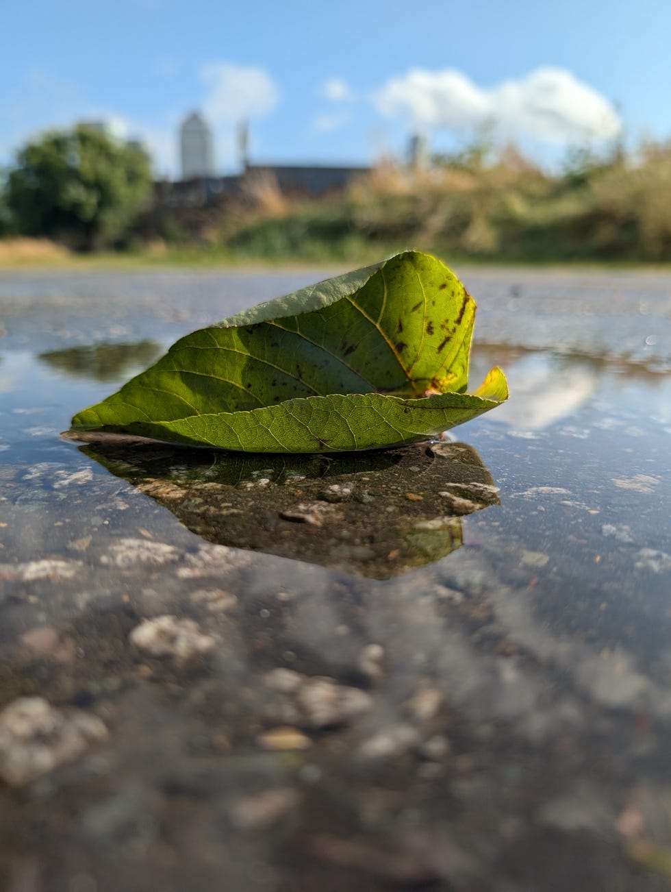 google pixel 9 pro samples