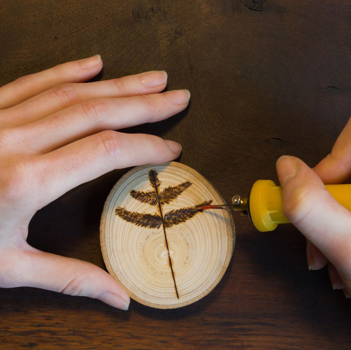 What is Wood Burning + A Practical Project for Beginners - Talk To The Hands